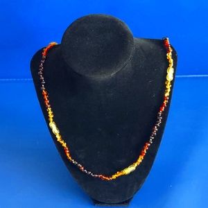 Earth Multi-Color Natural Real Polished Baltic Amber Necklace